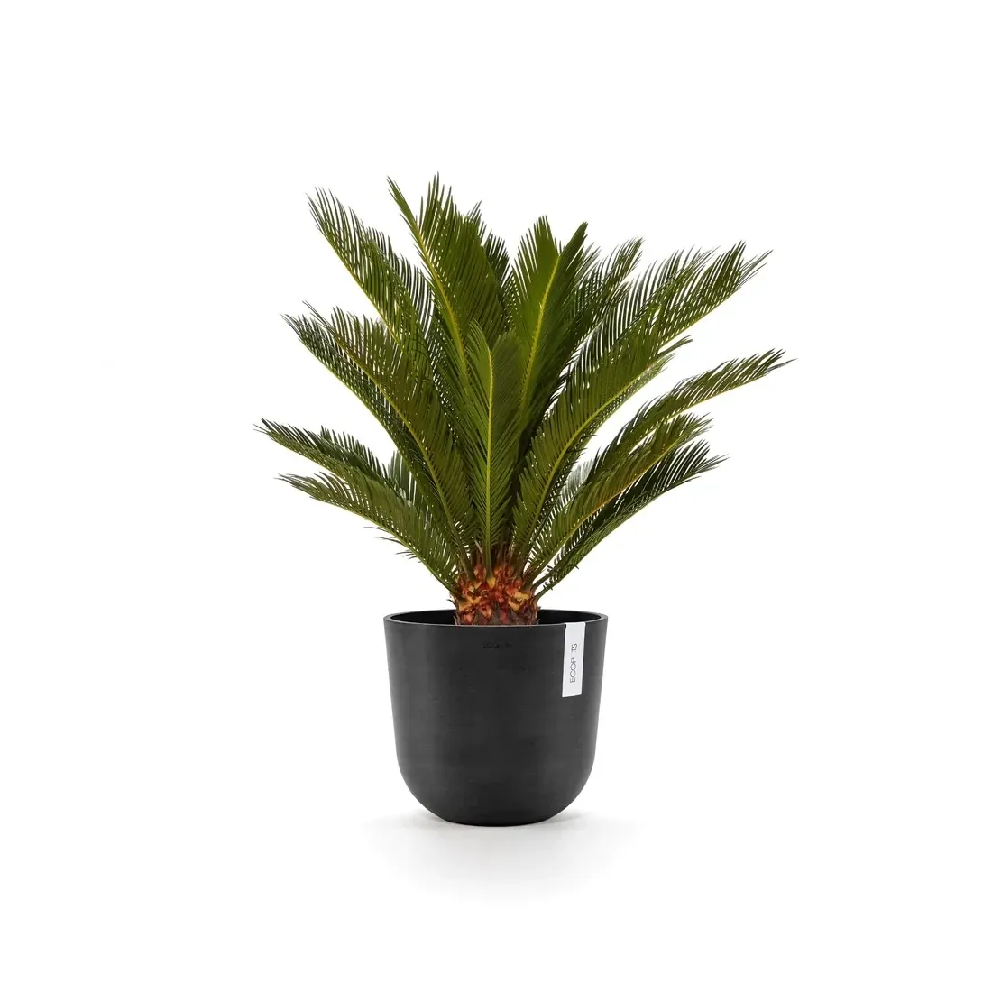 Kukkaruukku Oslo 25cm tummanharmaa