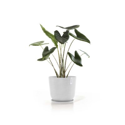 Kukkaruukku Oslo 45cm valkoinen