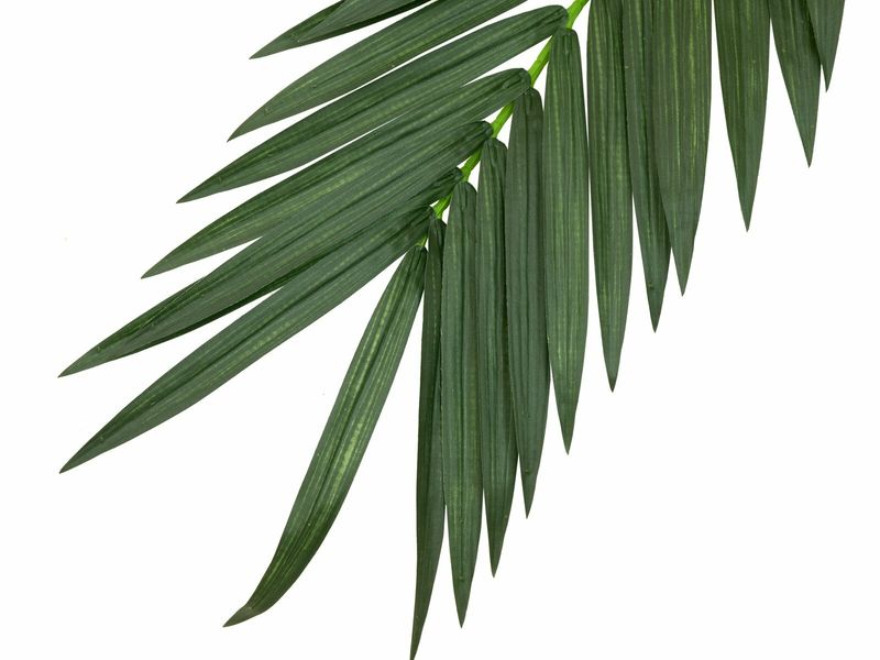 Jättipalmun tekolehti 210cm