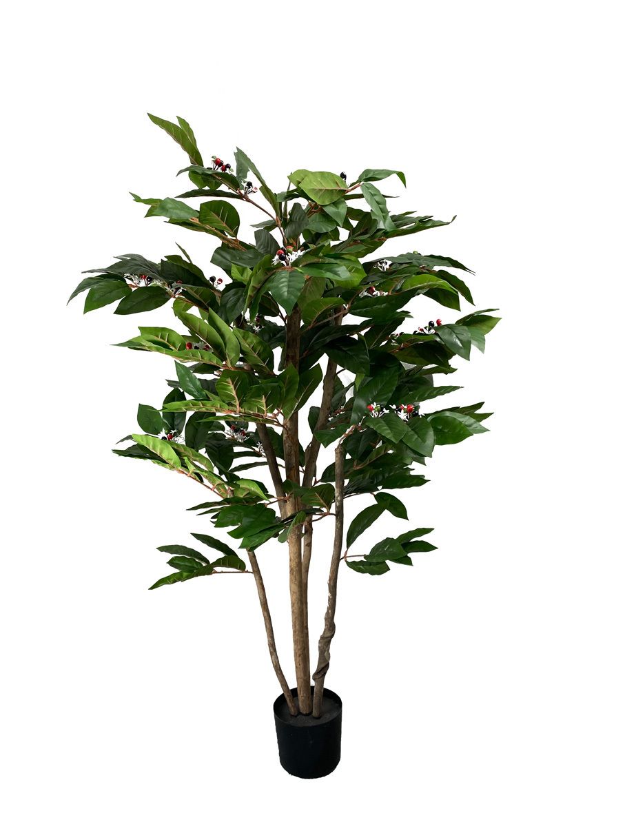 Kahvipensas tekokasvi - 130cm