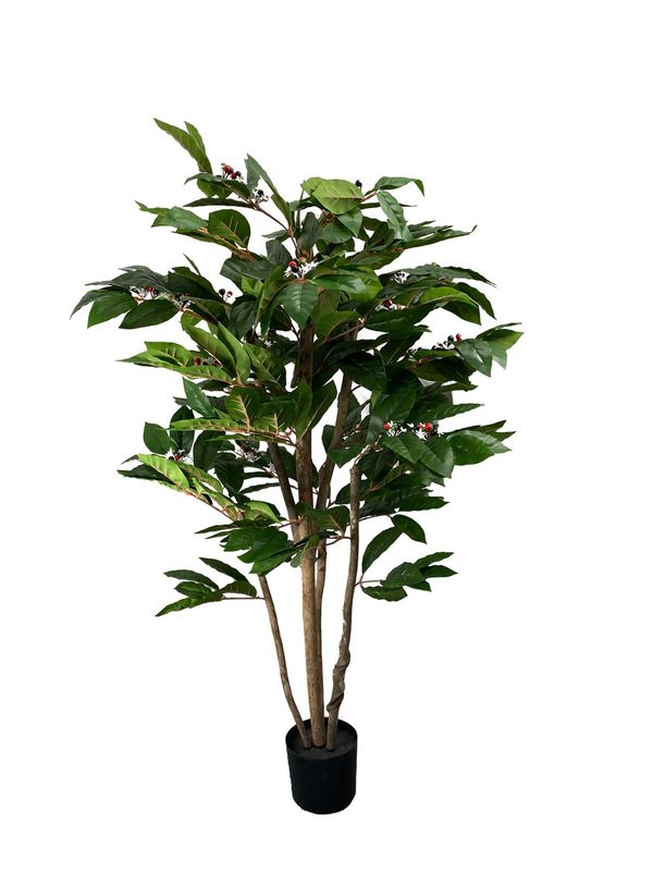 Kahvipensas tekokasvi - 130cm
