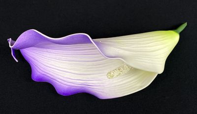 Kalla tekokukkapää, valkoinen/violetti