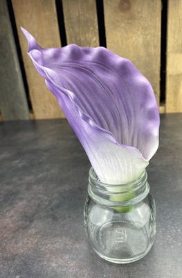 Kalla kestokukkapää, lila