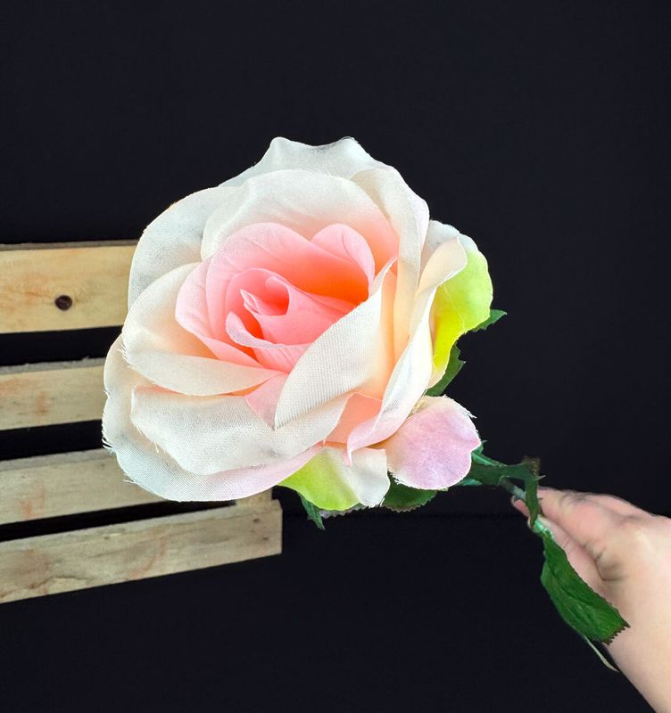 Kaunis kestoruusu, vaalea rosa