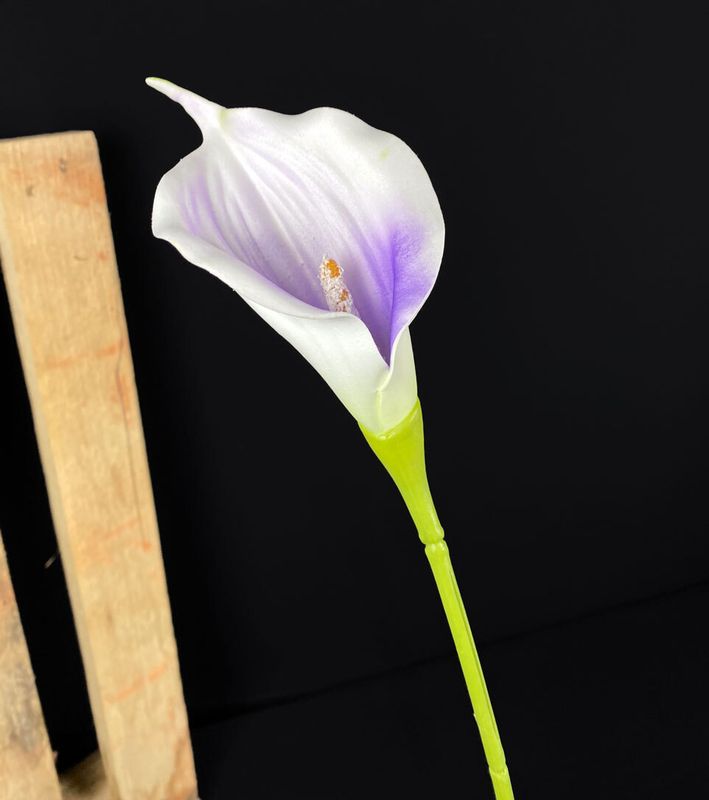 Kalla tekokukka, valkoinen/violetti