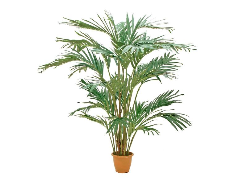 Kanariantaateli tekopalmu 240cm, palosuojattu