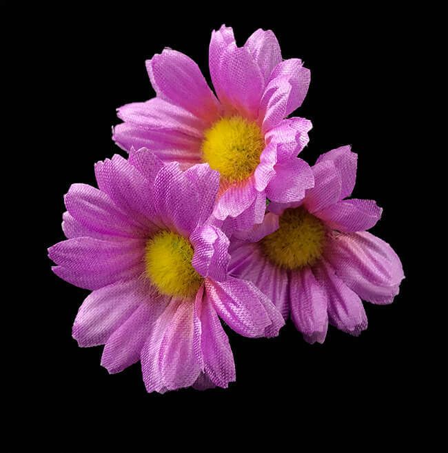 Violetti tekokukka kamomilla
