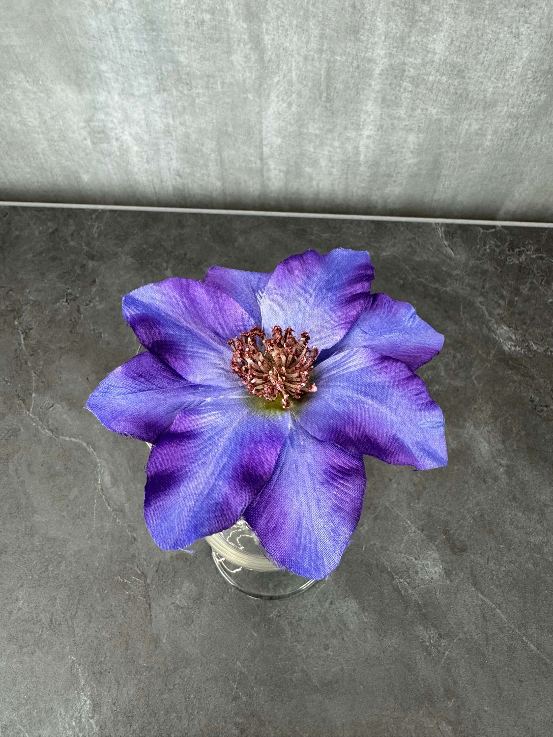 Kestokukkapää kärhö, violetti/laventeli