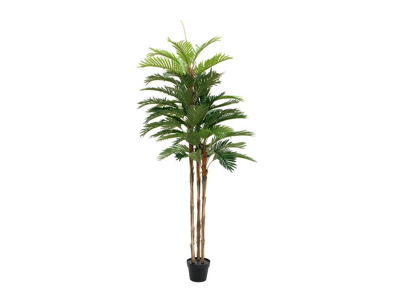 Kentia -tekopalmu 180cm
