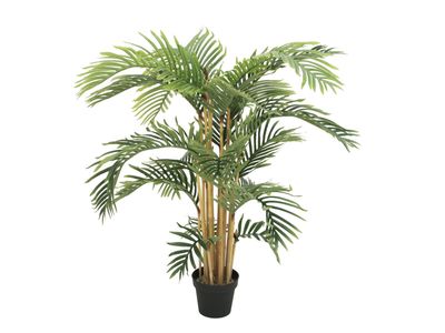 Kentia -tekopalmu 140cm