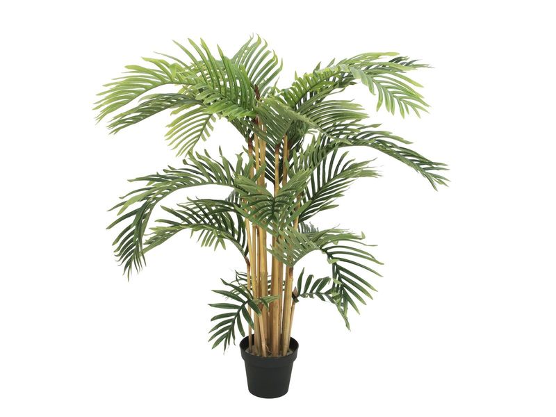 Kentia -tekopalmu 140cm