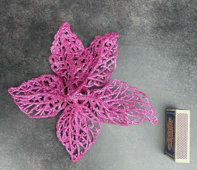 Kimallekukkapää, fuksia