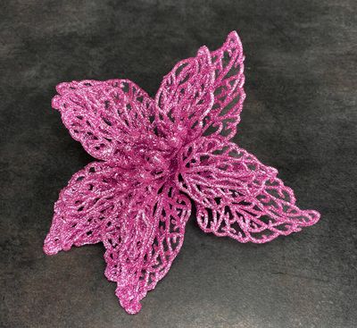 Kimallekukkapää, fuksia