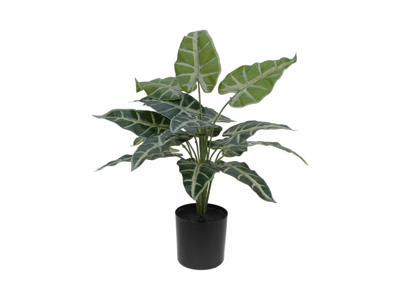 Kirjolehti tekokasvi ruukussa 38cm