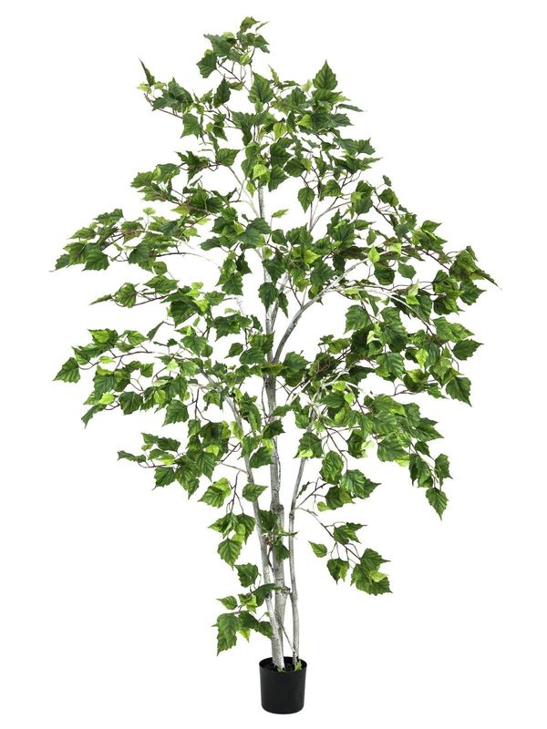 Koivu-tekopuu 180cm
