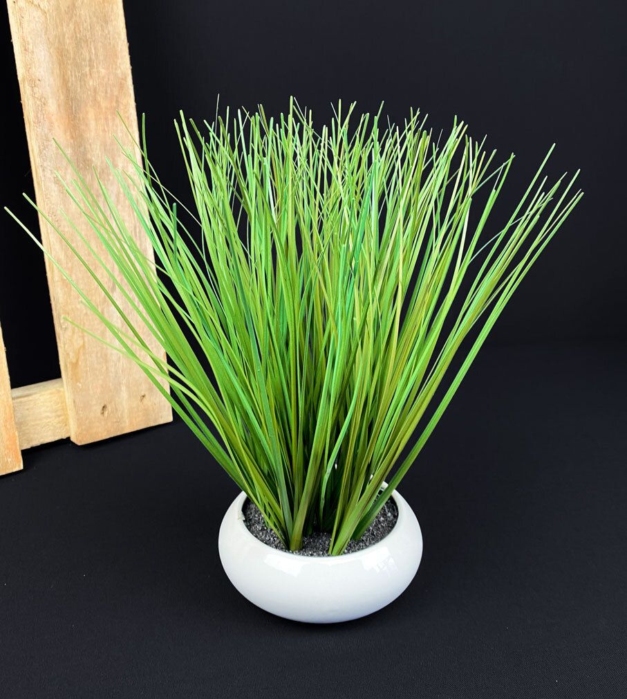 Koristeheinä ruukussa 27cm