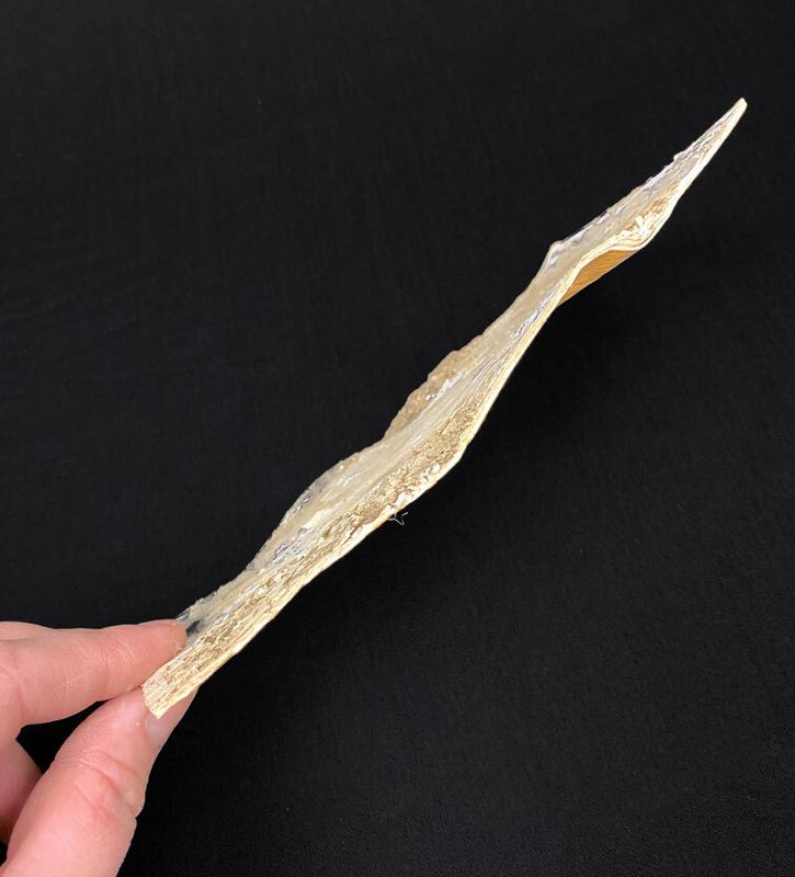 Koivun kuori, 20x10cm