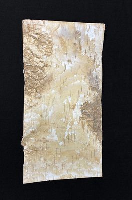 Koivun kuori, 20x10cm