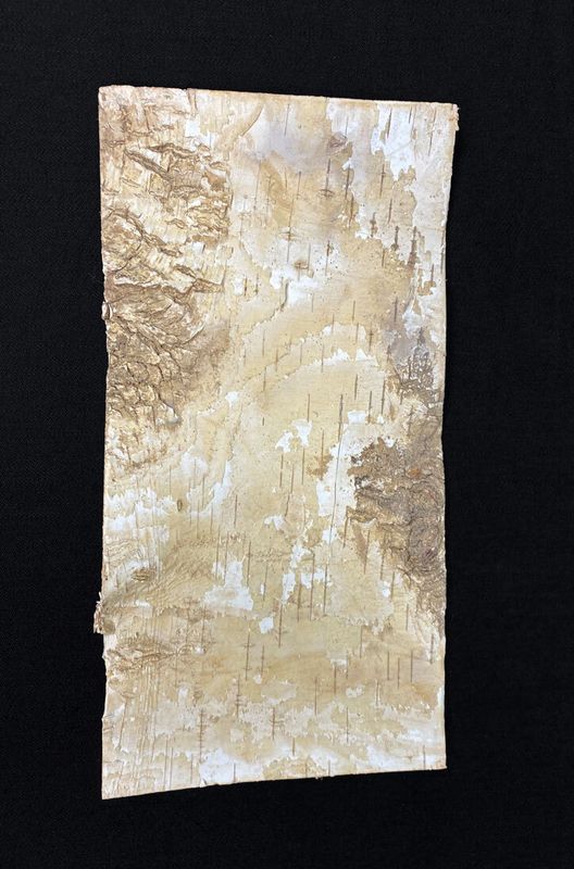 Koivun kuori, 20x10cm