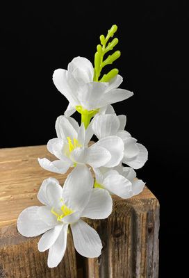 Freesia tekokukkaosa, valkoinen