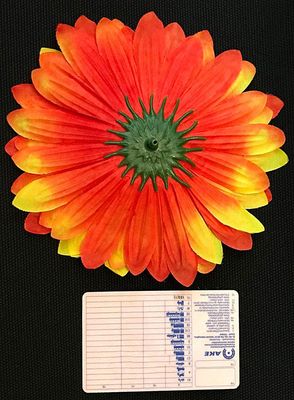 Gerbera tekokukkapää, oranssi/keltainen