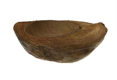 Kookoksen puolikas, kuivattu