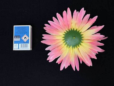 Gerbera tekokukkaosa, pinkki/vaaleanpunainen