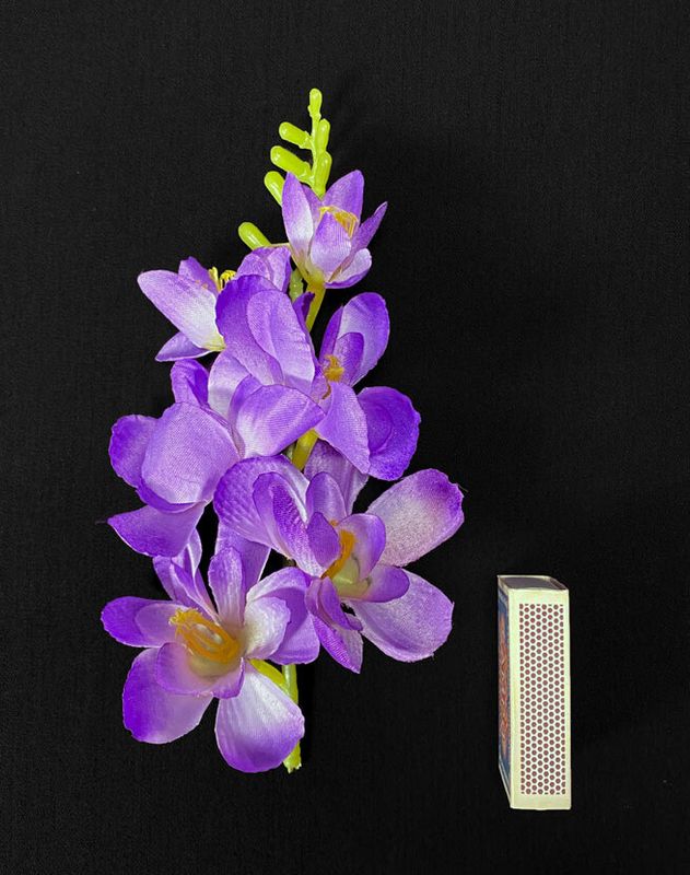 Freesia tekokukkapää, violetti