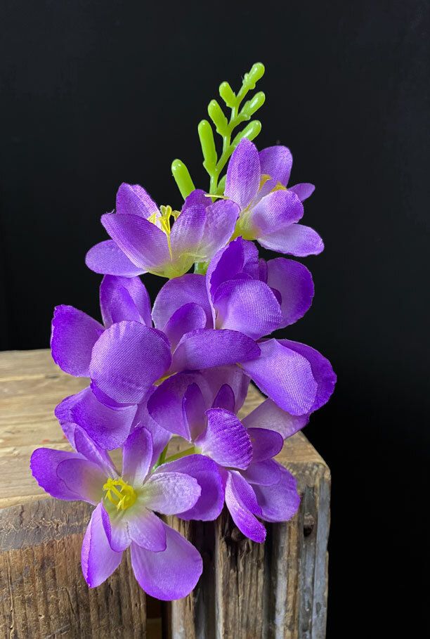 Freesia tekokukkapää