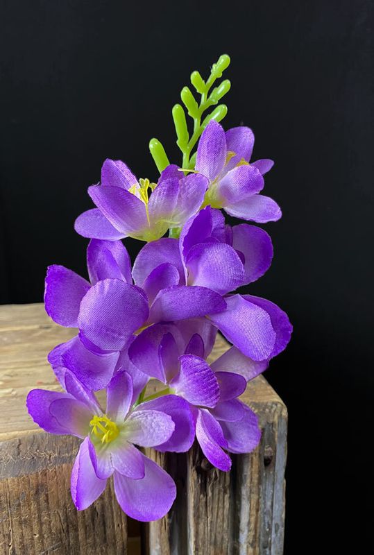 Freesia tekokukkapää