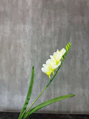 Valkoinen freesia tekokukka