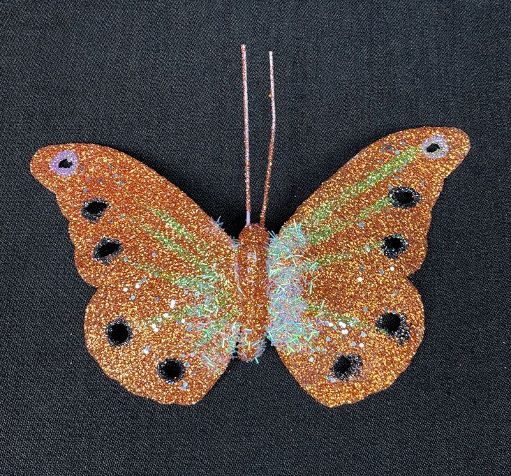 Glitter-koristeperhonen, kupari
