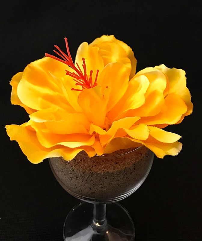 Hibiskus tekokukkapää, keltainen