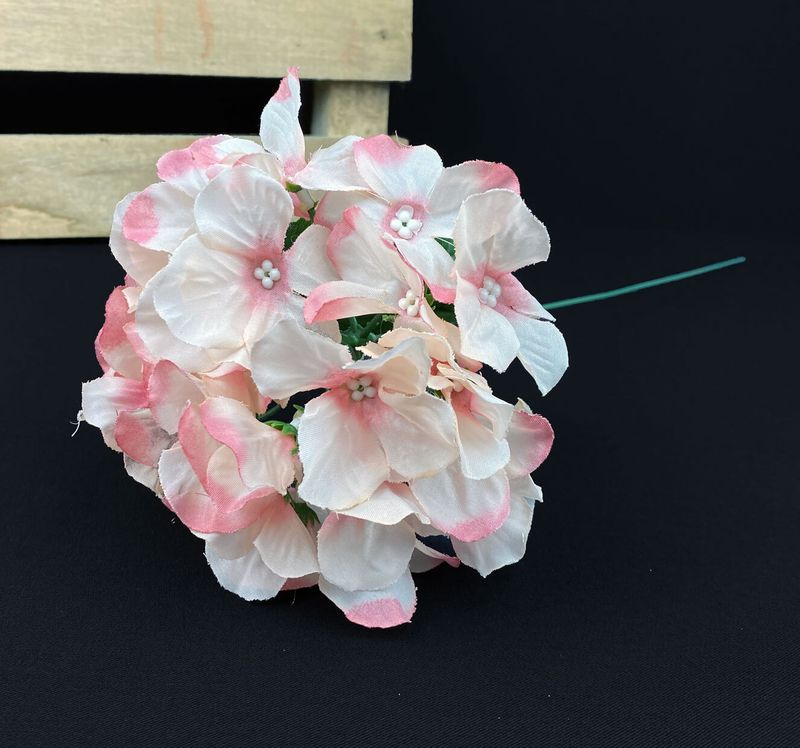 Hortensia kestokukka, rosa