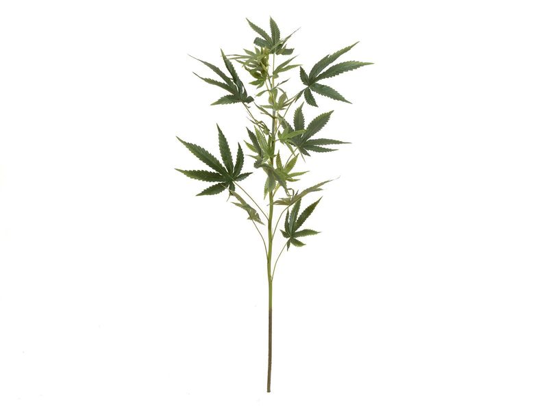 Hamppu tekolehti 90cm