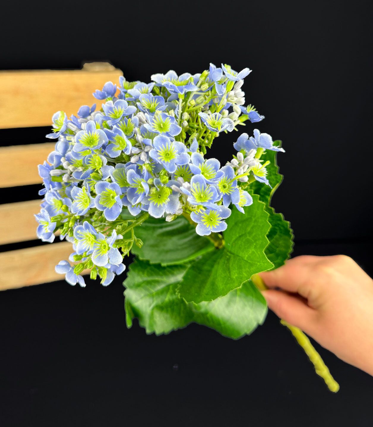 Hortensia kestokukkaoksa, sininen