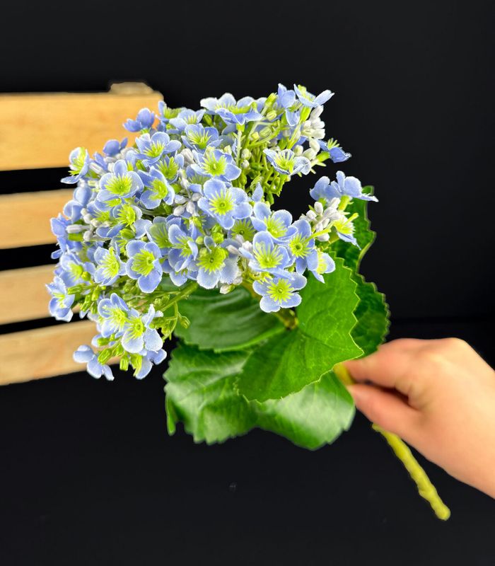 Hortensia kestokukkaoksa, sininen
