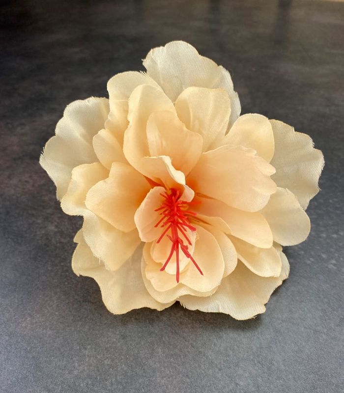 Hibiskus silkkikukkapää, persikka