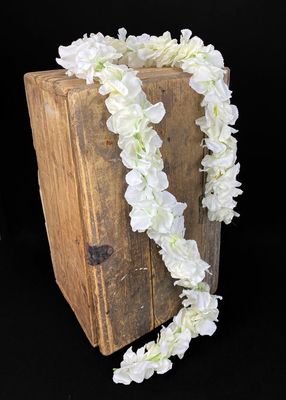 Hortensia tekokukkaköynnös 1,7m kerma