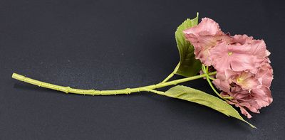 Hortensia tekokukka ruskea(viininpunainen)