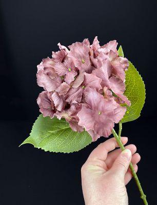 Hortensia tekokukka ruskea(viininpunainen)