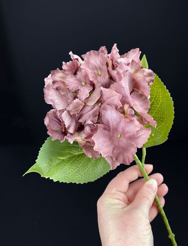 Hortensia tekokukka ruskea(viininpunainen)