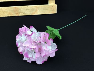 Hortensia kestokukka, violetti