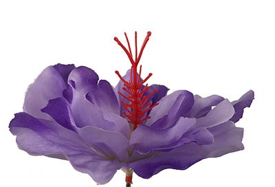 Hibiskus kestokukkapää, laventeli