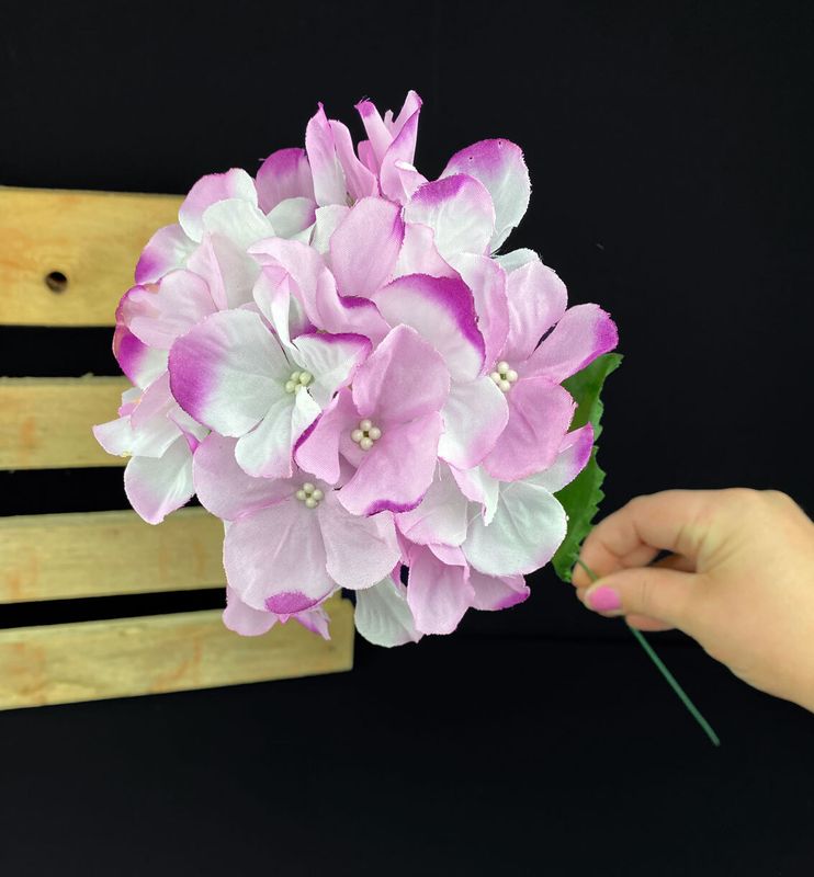 Hortensia kestokukka, violetti