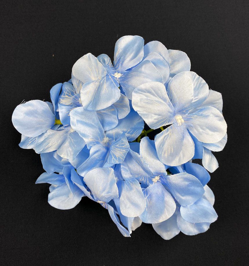 Hortensia kukkapää