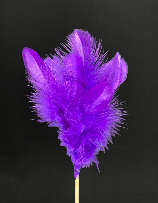 Höyhenkoriste, violetti