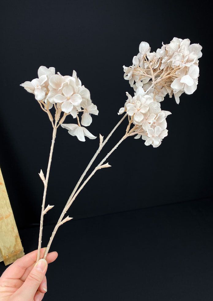 Hortensia tekokukka nude