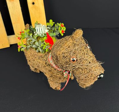 Jouluasetelma koiraruukussa