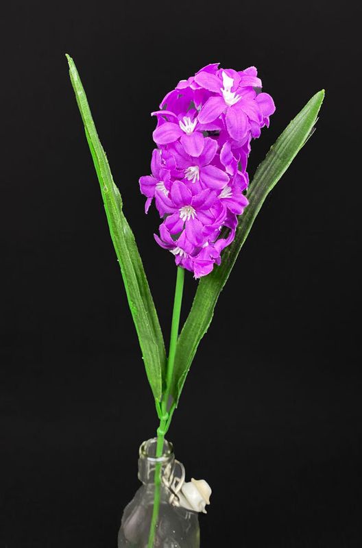 Hyasintti tekokukka, lila